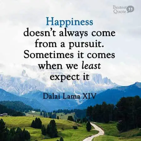Happiness doesn't always come from a pursuit. Sometimes it comes when we least expect it. Dalai Lama