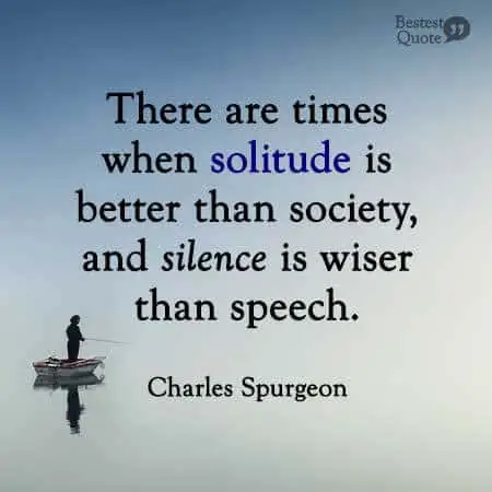 There are times when solitude is better than society, and silence is wiser than speech. Charles Spurgeon