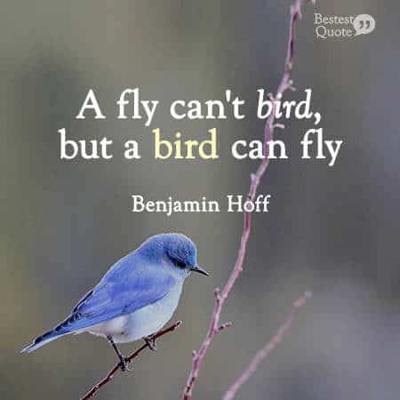 A fly can´t bird, but a bird can fly. Benjamin Hoff, the Tao of Pooh
