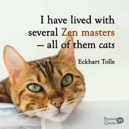 I have lived with several Zen masters - all of them cats. Eckhart Tolle
