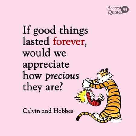 If good things lasted forever, would we appreciate how precious they are? Calvin and Hobbes