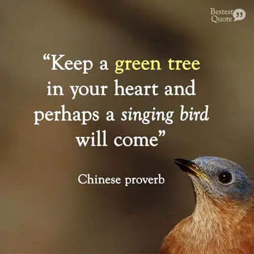 Keep a green tree in your heart and perhaps a singing bird will come. Chinese proverb