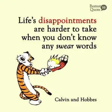 85 Life Lessons Calvin and Hobbes Give Us (Funny & Deep ) – BestestQuote