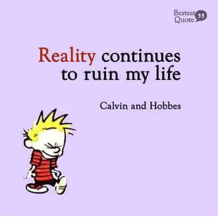 Reality continues to ruin my life. Calvin and Hobbes
