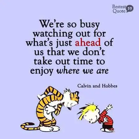 We're so busy watching out for what's just ahead of us that we don't take out time to enjoy where we are. Calvin and Hobbes
