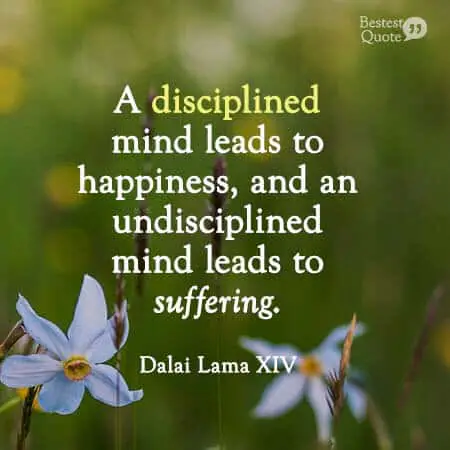 A disciplined mind leads to happiness and an undisciplined mind leads to suffering. Dalai Lama
