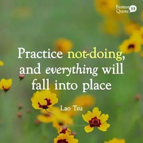 Practice Not Doing And Everything Will Fall Into Place Lao Tzu Bestestquote