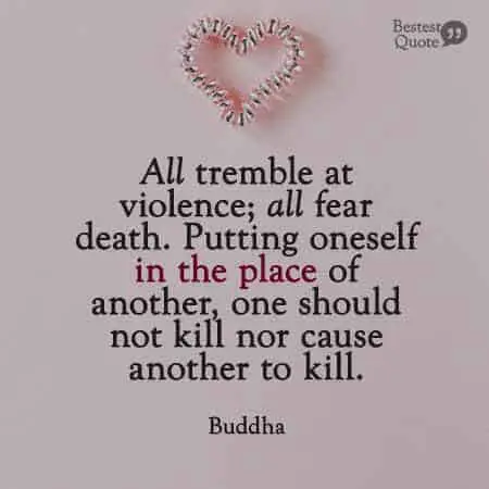 Putting oneself in the place of another, one should not kill nor cause another to kill. Buddha
