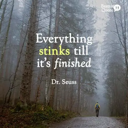 "Everything stinks till it's finished" Dr. Seuss