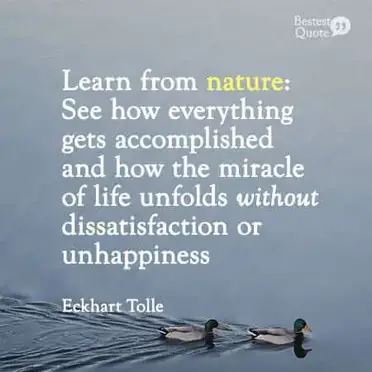 101 Eckhart Tolle Quotes on & Inner Peace (POWER OF NOW) – BestestQuote