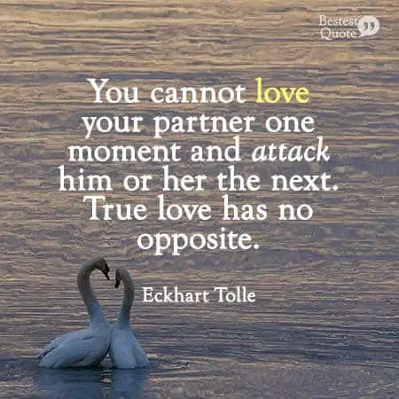 "You cannot love your partner one moment and attack him or her the next. True love has no opposite." Eckhart Tolle