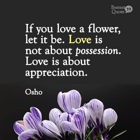 “If you love a flower, don’t pick it up. Because if you pick it up it dies and it ceases to be what you love. So if you love a flower, let it be. Love is not about possession. Love is about appreciation.” Osho