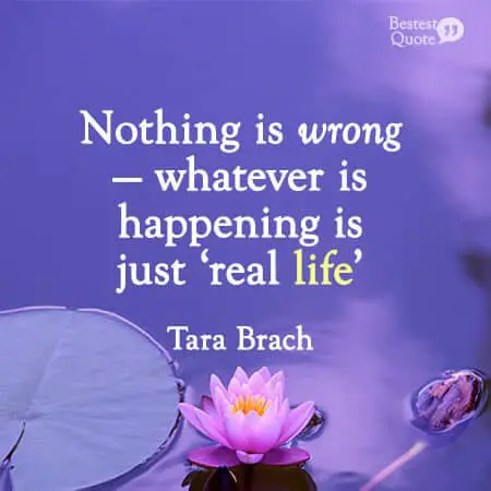 “Nothing is wrong—whatever is happening is just ‘real life’.” Tara Brach