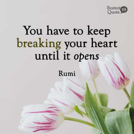“You have to keep breaking your heart until it opens.” Rumi
