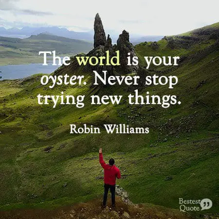 "The world is your oyster. Never stop trying new things." Robin Williams