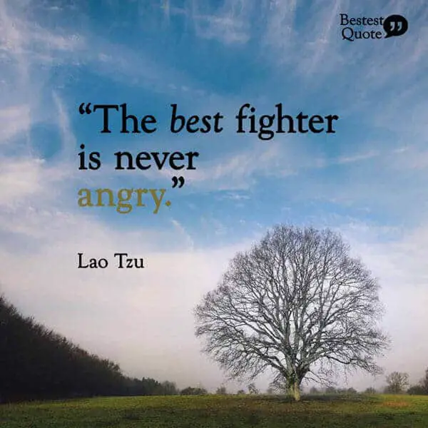 “The best fighter is never angry.” Lao Tzu