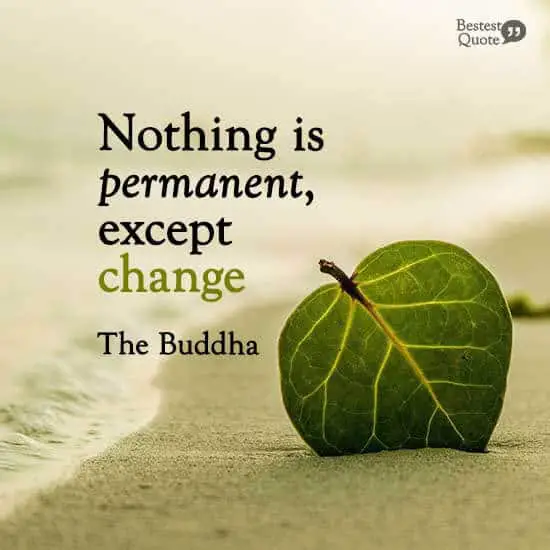 “Nothing is permanent, except change.” The Buddha