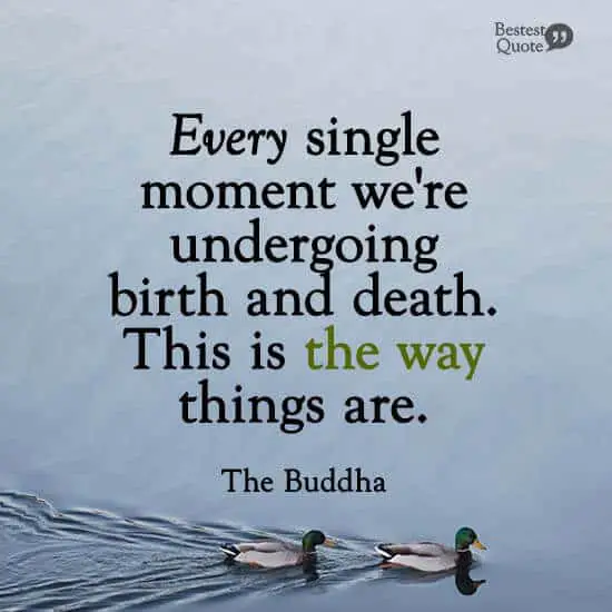 ”Every single moment we're undergoing birth and death. This is the way things are.” The Buddha